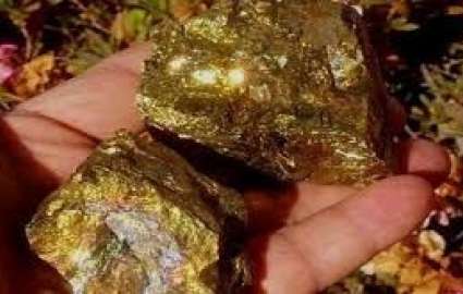 تسریع در بهره‌برداری از معدن طلای ساریگونی مطالبه‌ای جدی است