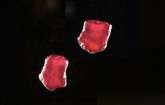 Gemfields shines on rare rubies find