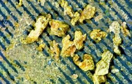 تولید روزانه طلا در زرشوران به 5.8 کیلوگرم رسید