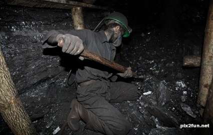 معدن زغال سنگ استرالیایی یک دلار فروش رفت