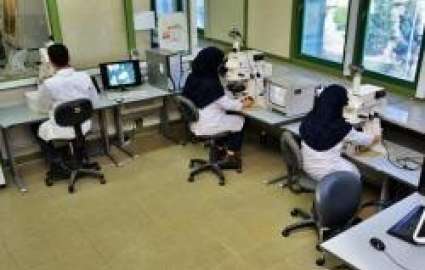 رشد 15 درصدی پروژه های مرکز تحقیقات فرآوری مواد معدنی ایران