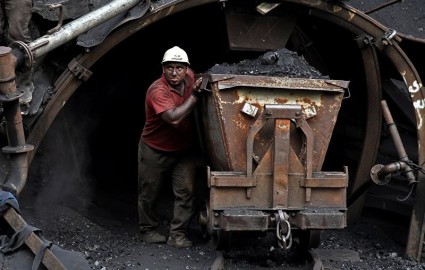 قیمت زغال‌سنگ به نرخ شمش فولاد گره خورد