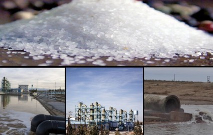 صنعت ایران«نمک‌پرورده» یُد گلستان